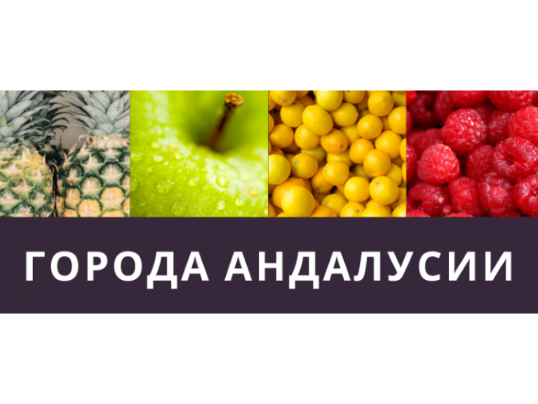 ГОРОДА АНДАЛУСИИ | КОРРИДА (БОЙ С БЫКАМИ) В АНДАЛУСИИ | ЯРМАРКИ АНДАЛУСИИ | ПРАЗДНИКИ АНДАЛУСИИ