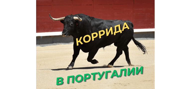 Коррида в Португалии